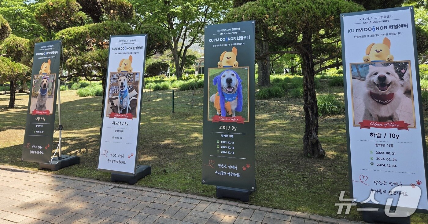 본문 이미지 - 헌혈견들 사진과 이력을 담은 배너가 설치된 모습 ⓒ 뉴스1 한송아 기자