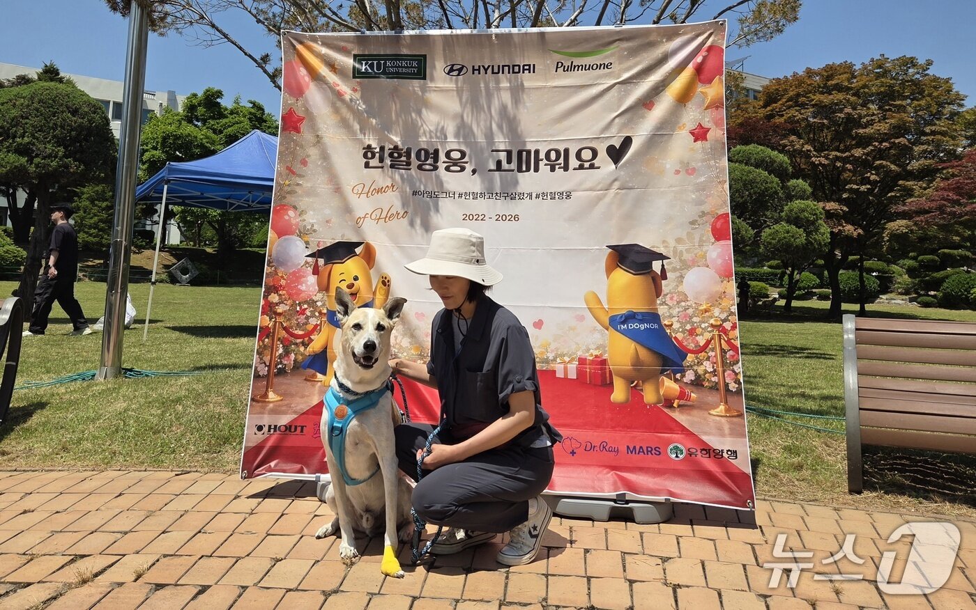 본문 이미지 - 은퇴 헌혈견 '도담이'와 보호자 ⓒ 뉴스1 한송아 기자