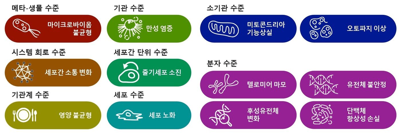 본문 이미지 - 노화의 특징. (출처: Kroemer G, L&oacute;pez-Ot&iacute;n C, Madeo F, de Cabo R. Cell Metab. 2023;35(12):1931-1933)