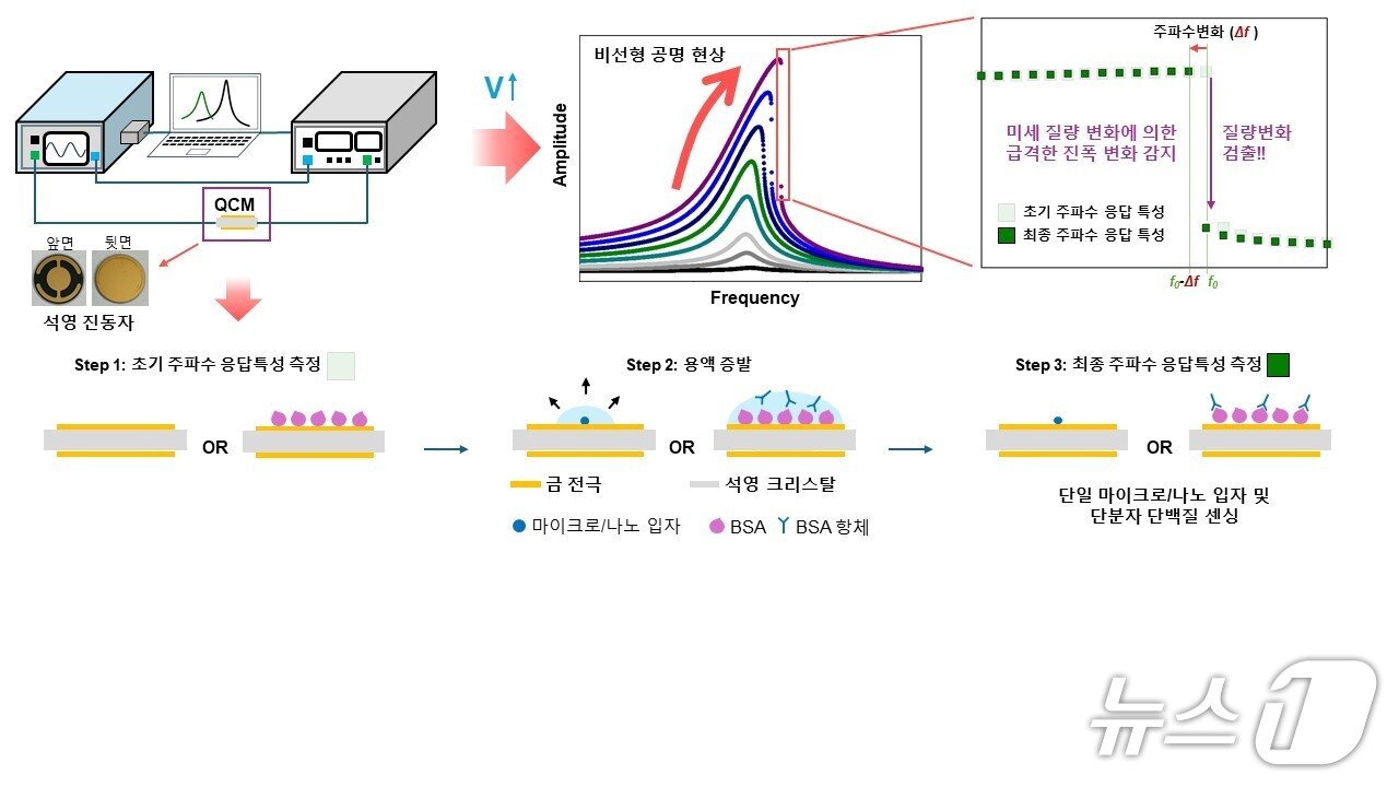 본문 이미지 - 이화여대 연구팀이 개발한 초고감도 질량 변화 기반 센싱 기술 관련 개념도. (이화여대 자료 제공)