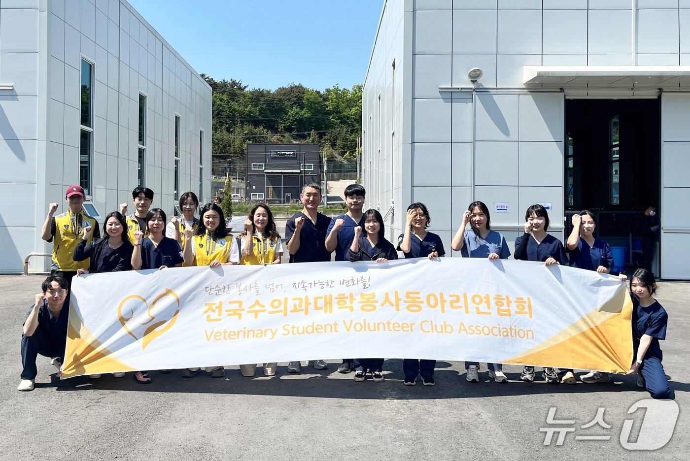 본문 이미지 - 수의대생이 동물보호소 봉사를 하고 있다(전국수의과대학봉사동아리연합회 제공). ⓒ 뉴스1