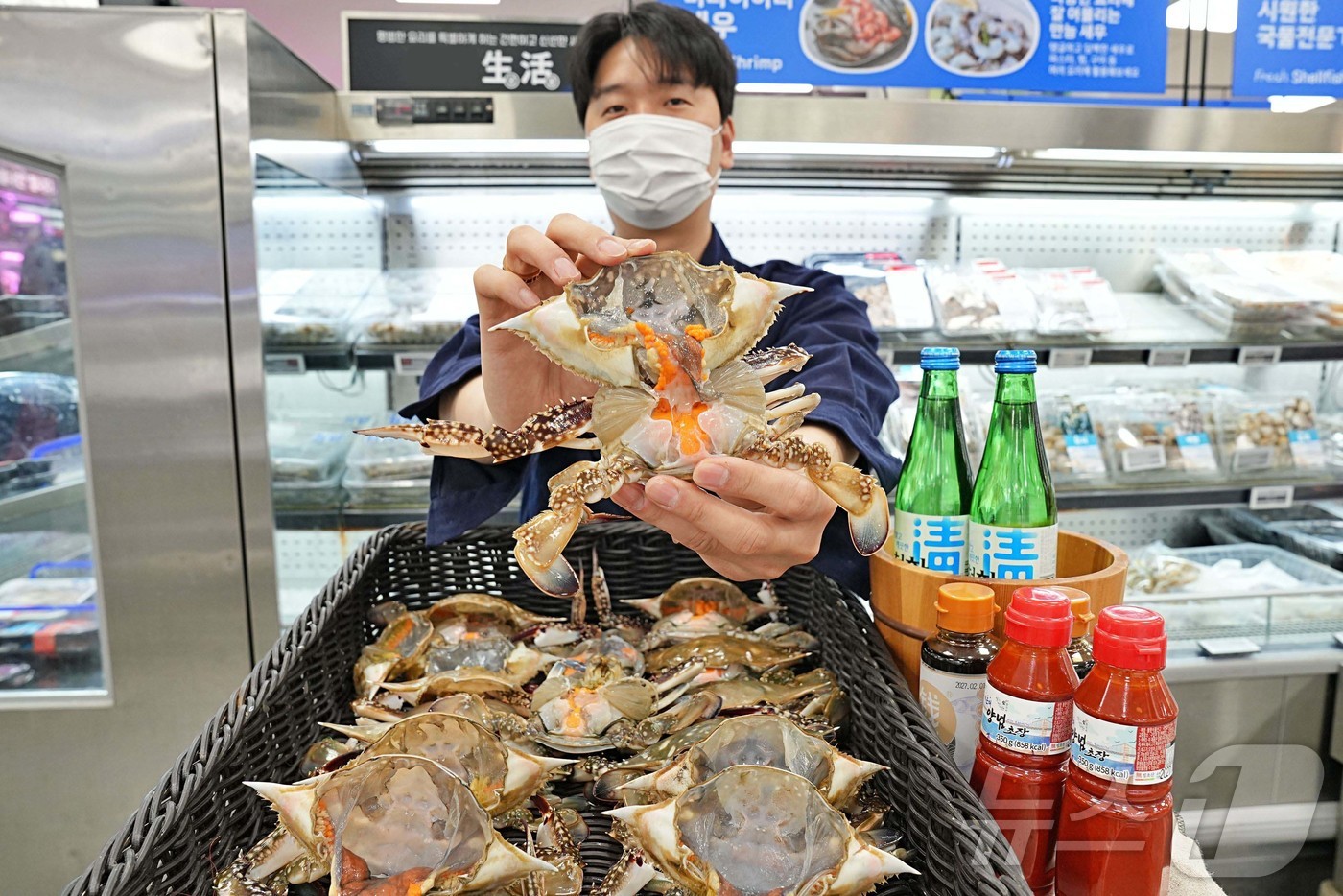 (서울=뉴스1) = 롯데마트가 오는 15일부터 17일까지 '알배기 암꽃게'를 한정 판매한다고 14일 밝혔다. 사진은 롯데마트 제타플렉스 잠실점 수산 매대에서 모델이 '알배기 암꽃게 …