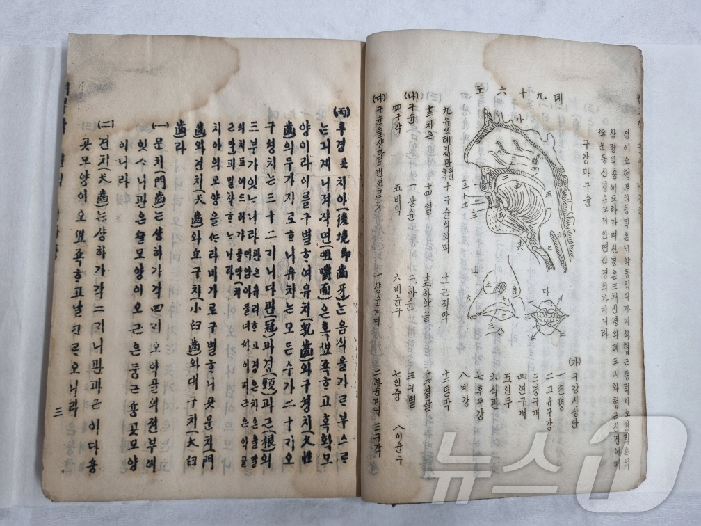 (서울=뉴스1) = 국가유산청은 14일 국립한글박물관이 소장한 '해부학(제중원 한글의학교과서)' 3점을 국가등록문화유산으로 등록 예고했다고 밝혔다. 해부학은 근대 서양식 의료기관인 …