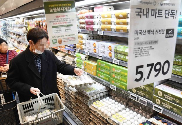 홈플러스, 태국산 계란 완판에 미국산 '백색란' 수혈