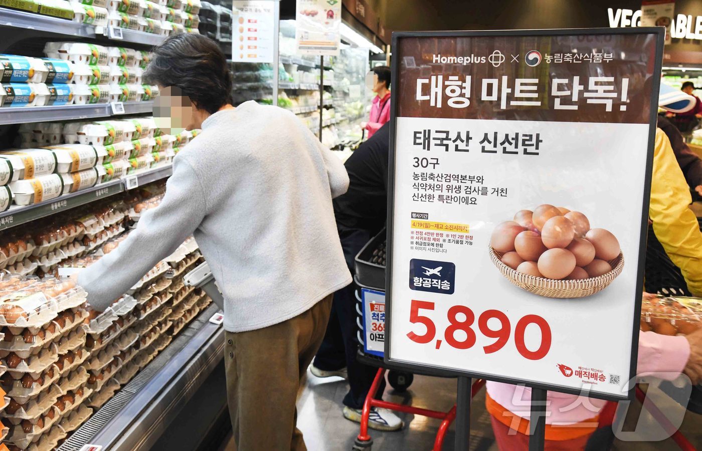 (서울=뉴스1) = 홈플러스가 계란값 안정에 기여하기 위해 국내 대형마트 최초로 판매한 ‘태국산 신선란’ 4만6000여 판이 전량 완판됐다고 14일 밝혔다.. 사진은 홈플러스 메가 …