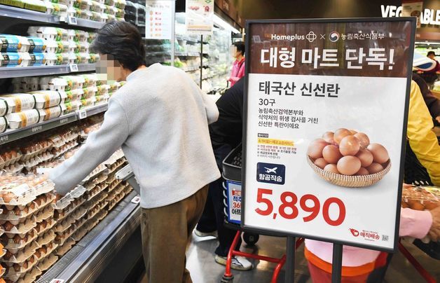 농식품부, '가격담합' 산란계협회 법인취소 검토…계란값 민간고시도 손질