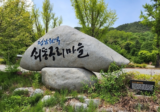 "장 보러 멀리 갈 필요 없다"…농어촌 기본소득 지역 '찾아가는 장터' 뜬다