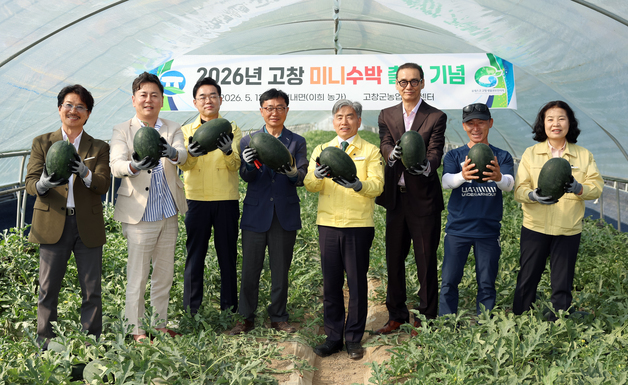 고창군, 미니수박 첫 수확…전국 대형마트 납품 시작