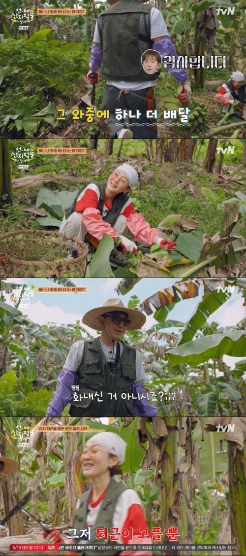 본문 이미지 - tvN '언니네 산지직송 in 칼라페' 화면 캡처