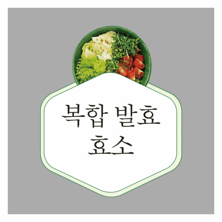 본문 이미지 - '복합 발효 효소'는 만성질환이 늘어나는 시대에 효소와 발효를 통해 몸을 회복하자고 제안하는 책이다. 저자는 장, 면역, 해독, 대사를 한 흐름으로 묶어 효소 보충이 왜 중요한지를 상담과 연구 경험을 바탕으로 풀어낸다.