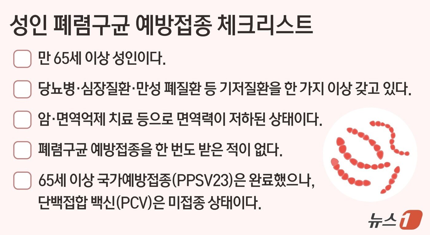 본문 이미지 - 성인 폐렴구균 예방접종 체크리스트 ⓒ 뉴스1 윤주희 디자이너