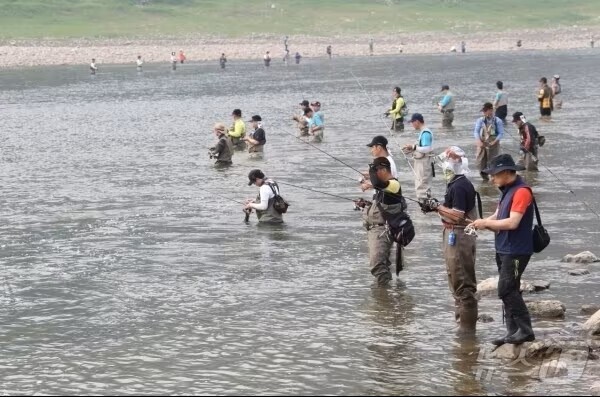 단양군, 쏘가리 불법 어로 집중단속…"1000만원 이하 벌금"