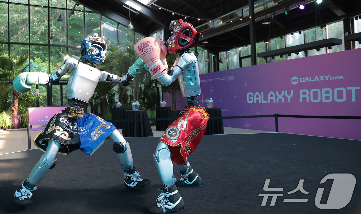 (서울=뉴스1) 권현진 기자 = 15일 서울 강동구 GALAXY ROBOT PARK에서 열린 갤럭시코퍼레이션 로봇 파크 미디어 데이에서 휴머노이드 로봇이 복싱 퍼포먼스를 선보이고 …