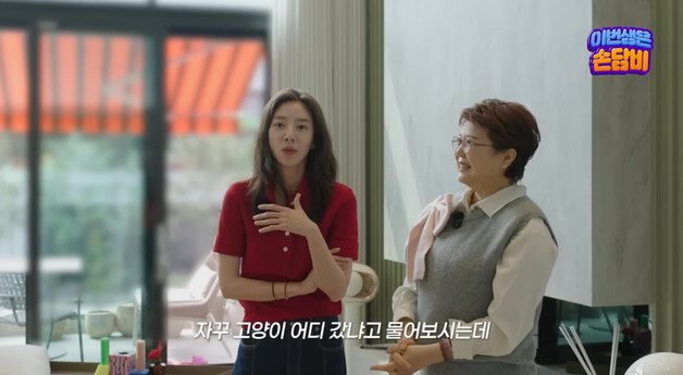 손담비 "반려묘 파양? 사랑하는데 버렸겠냐"…유튜브서 토로