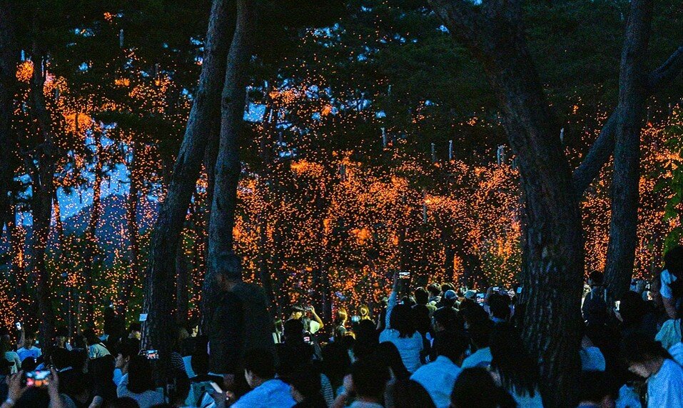 본문 이미지 - 지난 17일 세종호수공원에서 열린 2026 세종낙화축제. (세종시 제공. 재판매 및 DB 금지)
