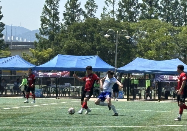 "선거열기도 축구열기는 못이겨"…화명생태공원 등 나들이객 '북적'