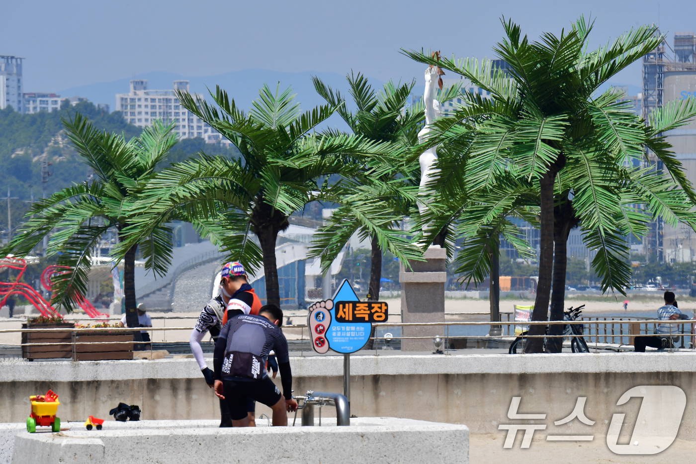 (포항=뉴스1) 최창호 기자 = 경북 포항시의 낮 최고기온이 27도까지 올라가며 초여름 날씨를 보인 17일 시민들이 송도해수욕장 평화의 여신상 광장에 조성된 인공야자수 아래에서 더 …