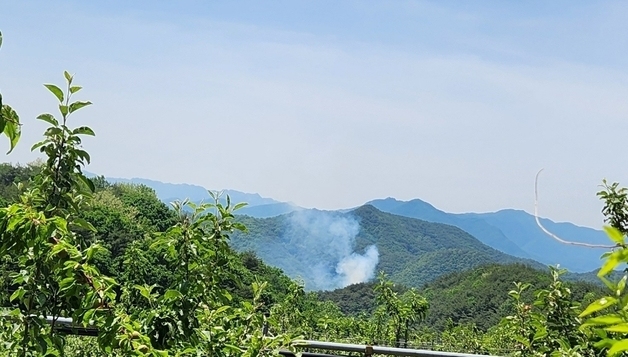경북 문경 가은읍 산불 1시간여 만에 진화