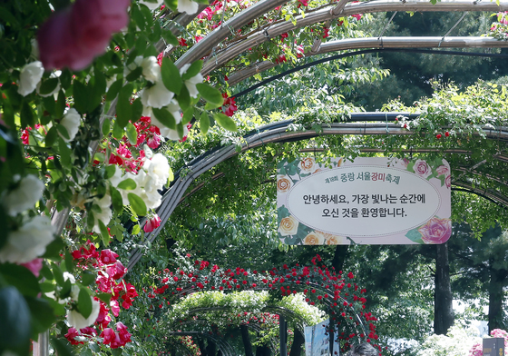서울장미축제 찾아 시민들과 인사 나누는 오세훈 후보