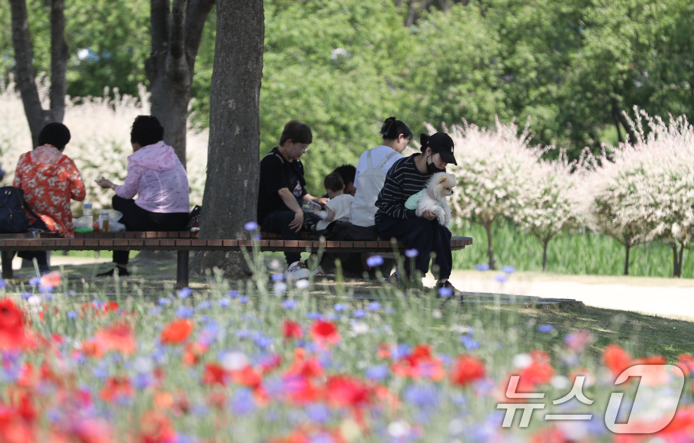 (울산=뉴스1) 조민주 기자 = 17일 울산 중구 태화강국가정원을 찾은 시민들이 활짝 핀 봄꽃을 감상하고 있다. 2026.5.17/뉴스1