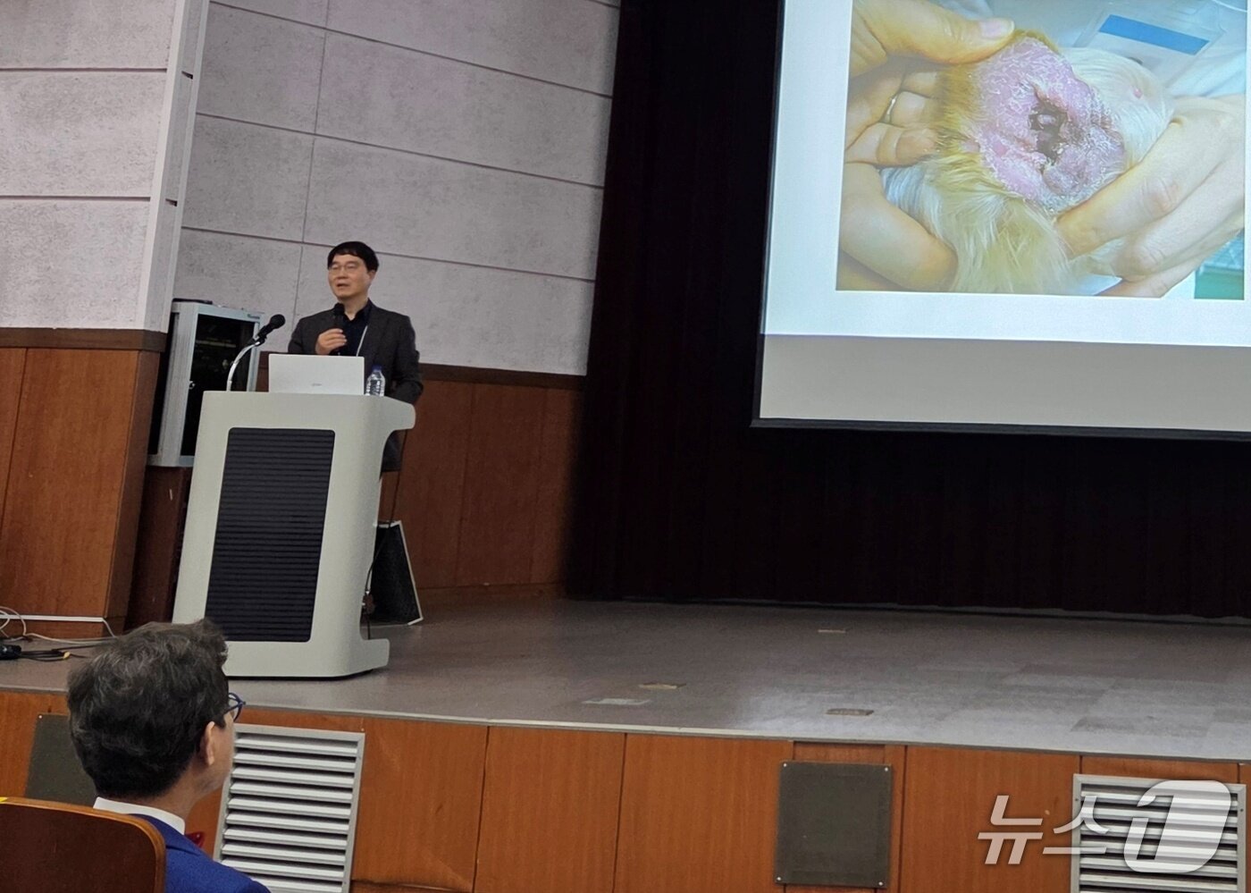 본문 이미지 - 2026 한국수의임상피부학회 춘계 콘퍼런스가 17일 서울 강남구 세텍에서 열렸다. ⓒ 뉴스1
