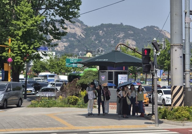 종로구, 여름철 종합대책 가동…러브버그 방역도