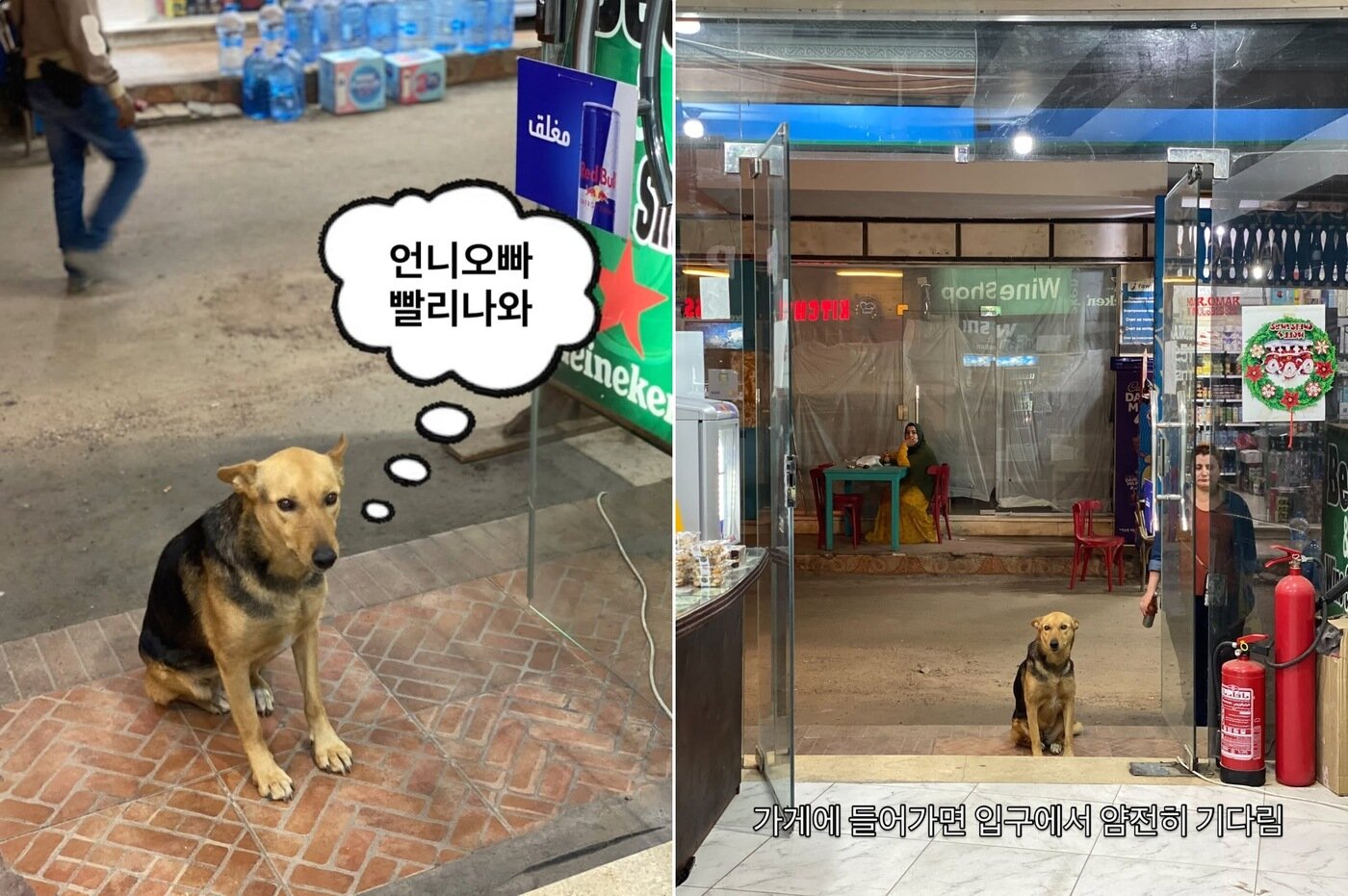 본문 이미지 - 4년 전 키묘와 남자친구를 여행 내내 따라다닌 칼빵이 모습(인스타그램 keemyo.p 제공) ⓒ 뉴스1
