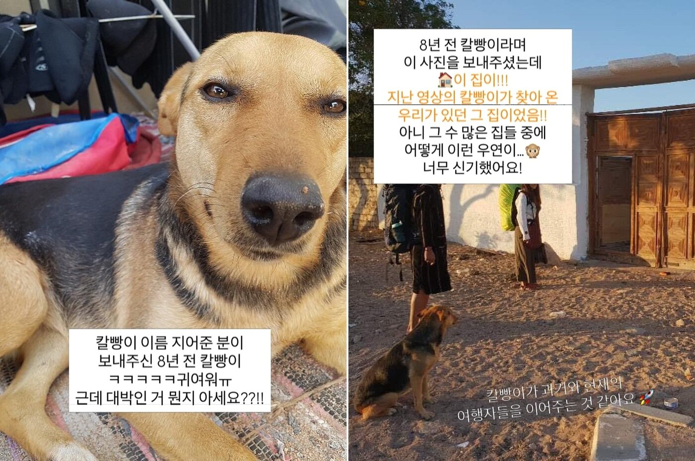 본문 이미지 - 8년 전 칼빵이에게 이름을 지어줬다는 누리꾼이 공유한 칼빵이 사진(인스타그램 keemyo.p 제공) ⓒ 뉴스1