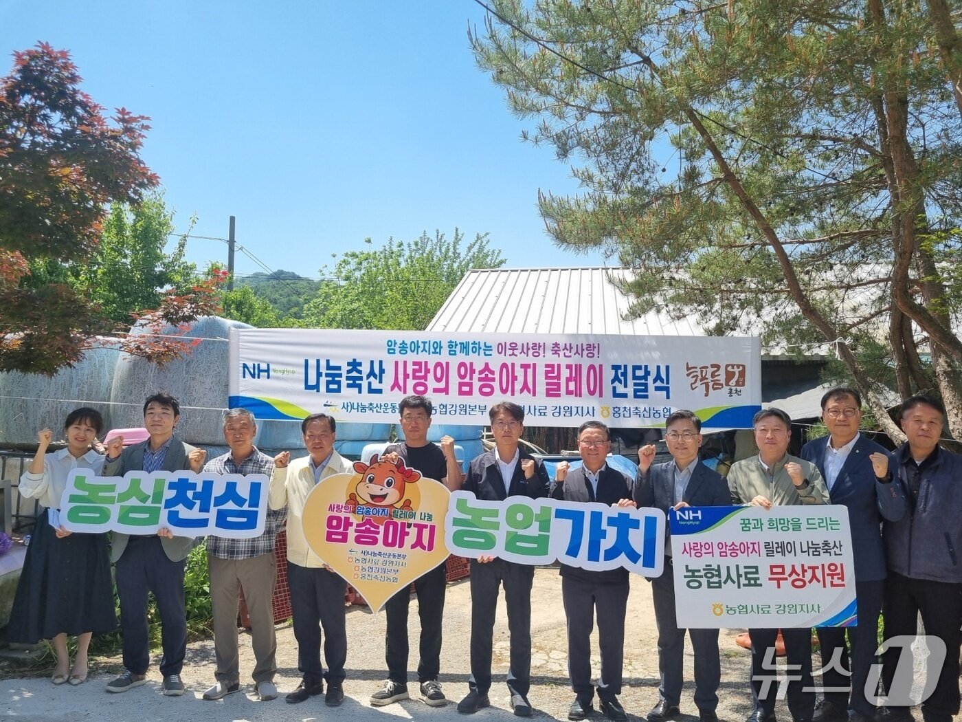 본문 이미지 - 나눔축산 사랑의 암송아지 릴레이 전달식,(농협 강원본부 제공. 재판매 및 DB금지)/뉴스1