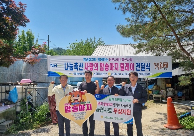 강원농협, 홍천서 '사랑의 암송아지 릴레이' 전달식