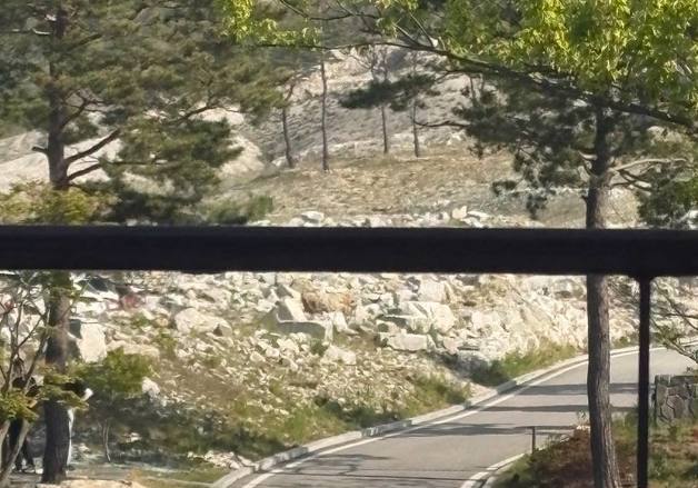 [단독]정몽규, 월드컵 최종 명단 발표 날 회견장 아닌 골프장 갔다