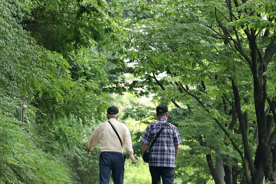 이른 더위 피해 가로수길로