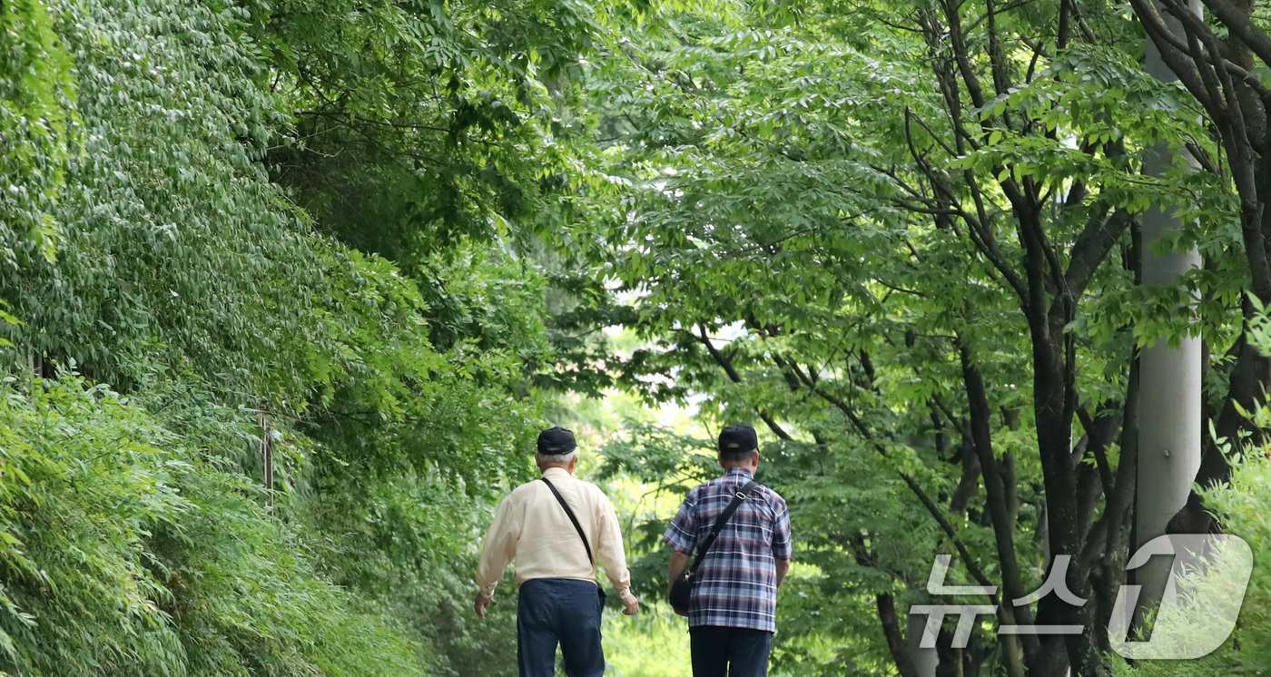 (대구=뉴스1) 공정식 기자 = 초여름 이른 더위가 이어진 19일 대구 도심에서 노인들이 녹음 짙어가는 가로수길을 걷고 있다. 2026.5.19/뉴스1