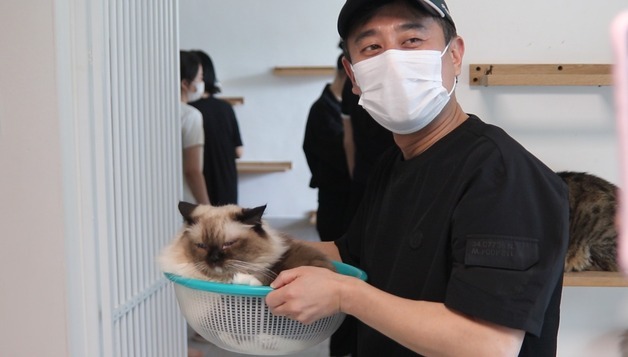 "퇴원한 고양이들 보고 싶어서"…보호소 찾은 동물병원 의료진