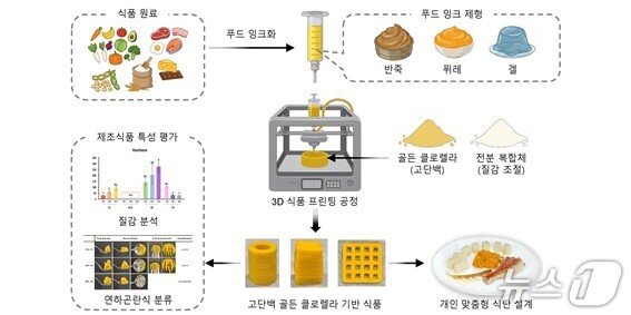 본문 이미지 - 천연 기능성 원료 기반 3D 식품 프린팅 활용 맞춤형 식단 설계 과정.(KIST 강릉분원 제공, 재판매 및 DB 금지) 2026.5.19/뉴스1