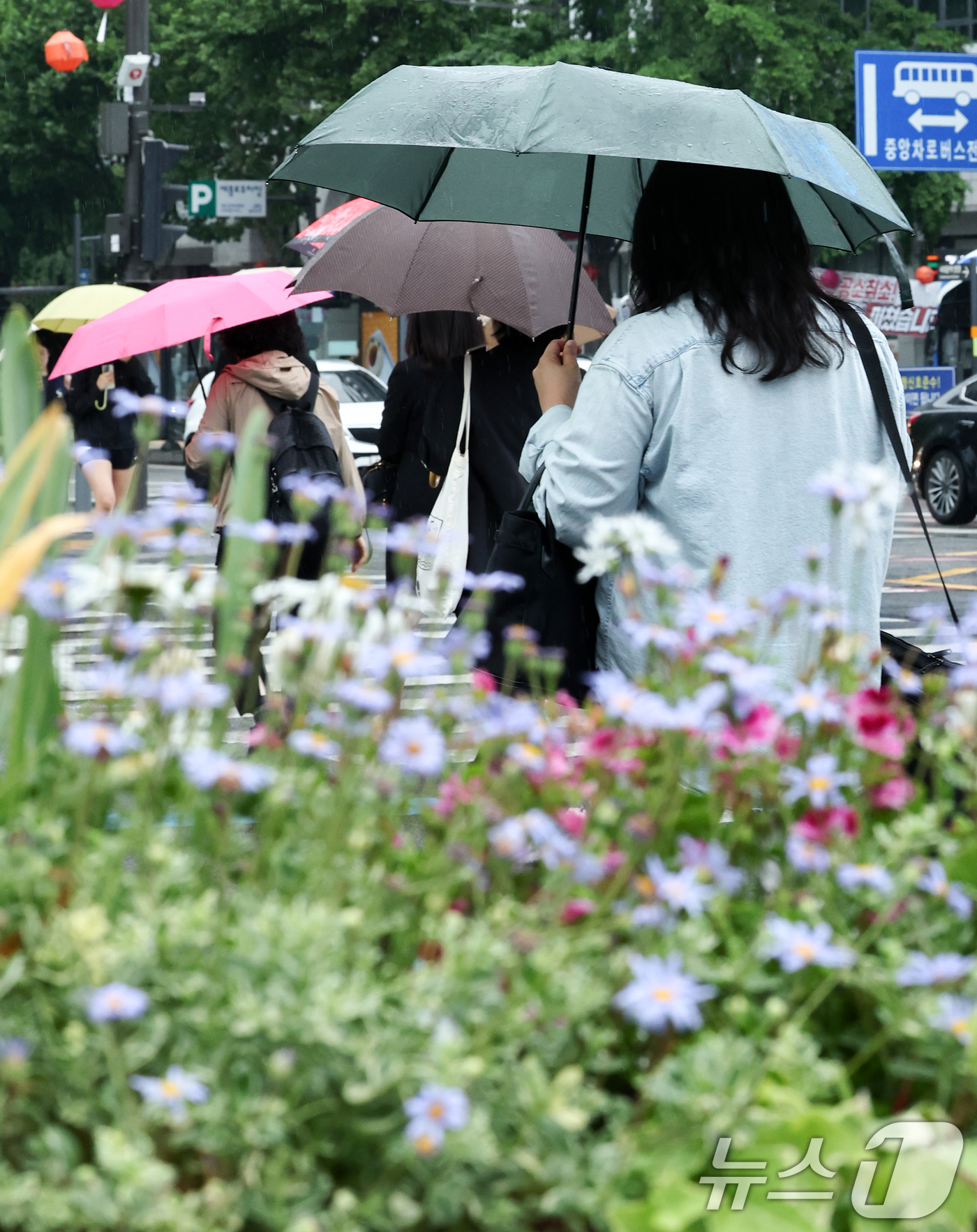(서울=뉴스1) 최지환 기자 = 전국 대부분 지역에 비가 내리는 20일 오전 서울 종로구 광화문광장에서 우산을 쓴 시민들이 이동하고 있다. 2026.5.20/뉴스1