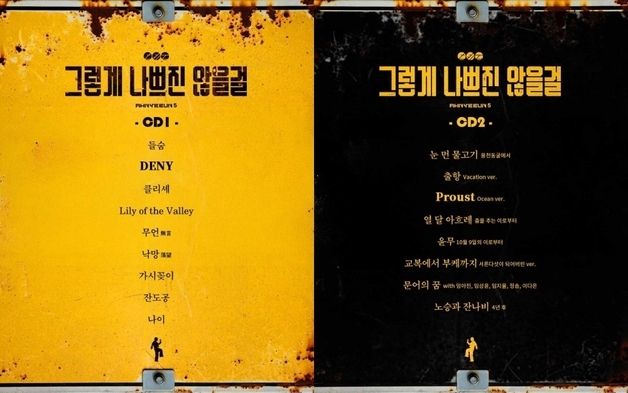 안예은, 3년 5개월 만의 정규 발매 예고…트랙리스트 공개