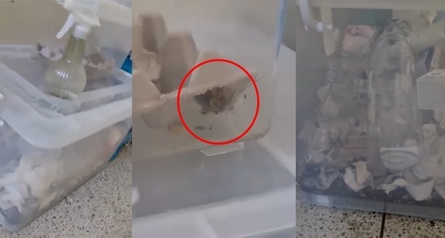 아파트 공용 복도서 벌레 키우는 이웃…항의해도 '나 몰라라' 한심