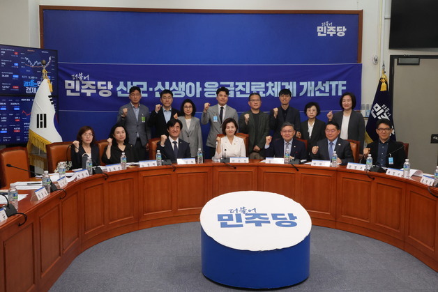 민주당TF "고위험분만 거점화"…전문가들, 인력·법적보호 촉구