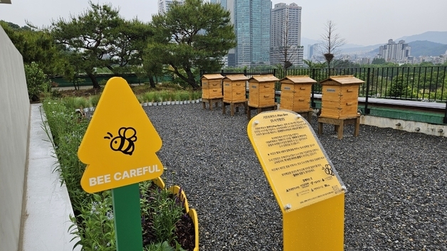 서울시-현대엔지니어링, 보라매공원에 2호 꿀벌 서식지 조성