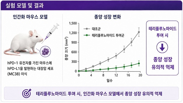 한의학연, 기존 다발성경화증 치료제에서 항암 증진 가능성 확인