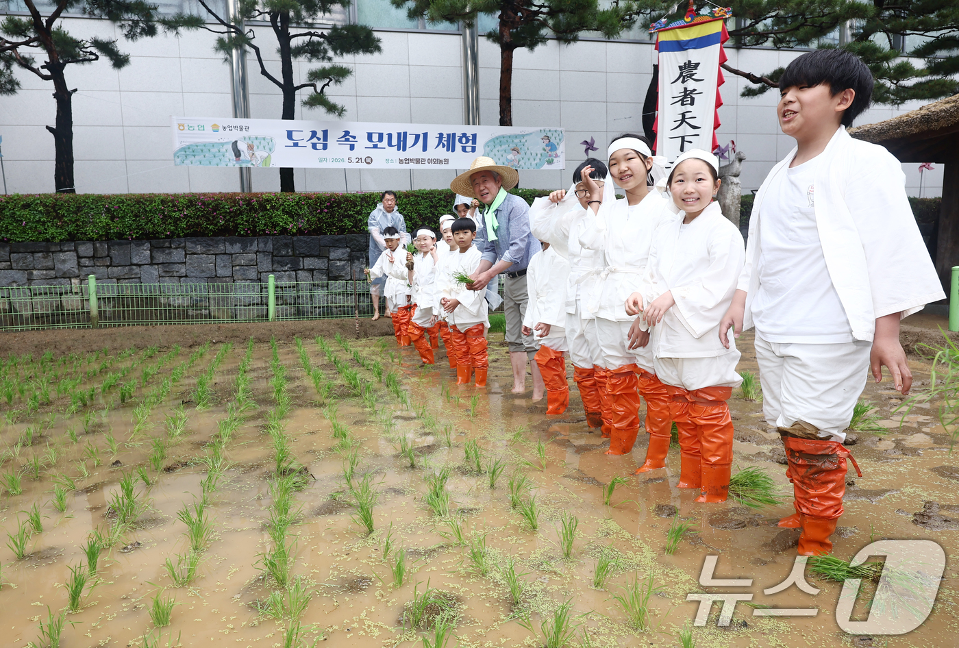(서울=뉴스1) 김민지 기자 = 여름 기운이 나기 시작한다는 절기상 소만(小滿)인 21일 오전 서울 중구 농업박물관 야외농장에서 강호동 농협중앙회장과 어린이들이 못줄을 사용한 전통 …