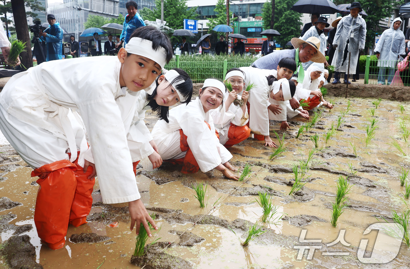 (서울=뉴스1) 김민지 기자 = 여름 기운이 나기 시작한다는 절기상 소만(小滿)인 21일 오전 서울 중구 농업박물관 야외농장에서 강호동 농협중앙회장과 어린이들이 못줄을 사용한 전통 …