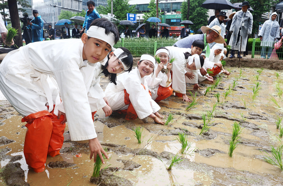 '우리 모내기 잘 심죠?'
