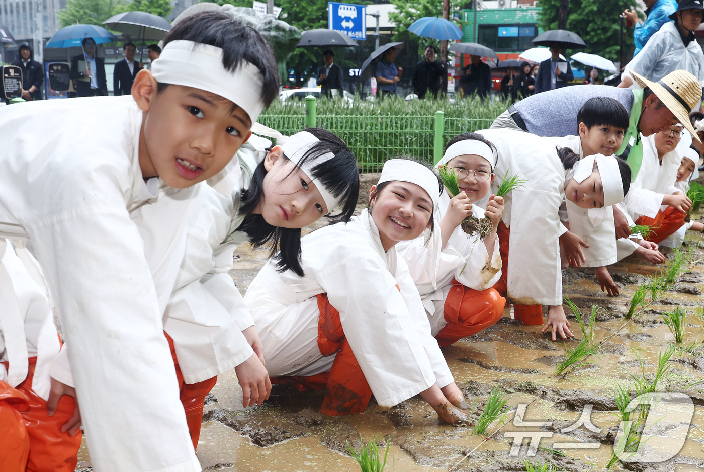 (서울=뉴스1) 김민지 기자 = 여름 기운이 나기 시작한다는 절기상 소만(小滿)인 21일 오전 서울 중구 농업박물관 야외농장에서 강호동 농협중앙회장과 어린이들이 못줄을 사용한 전통 …