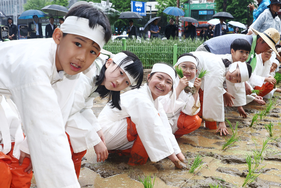 '우리 모내기 잘 심죠?'