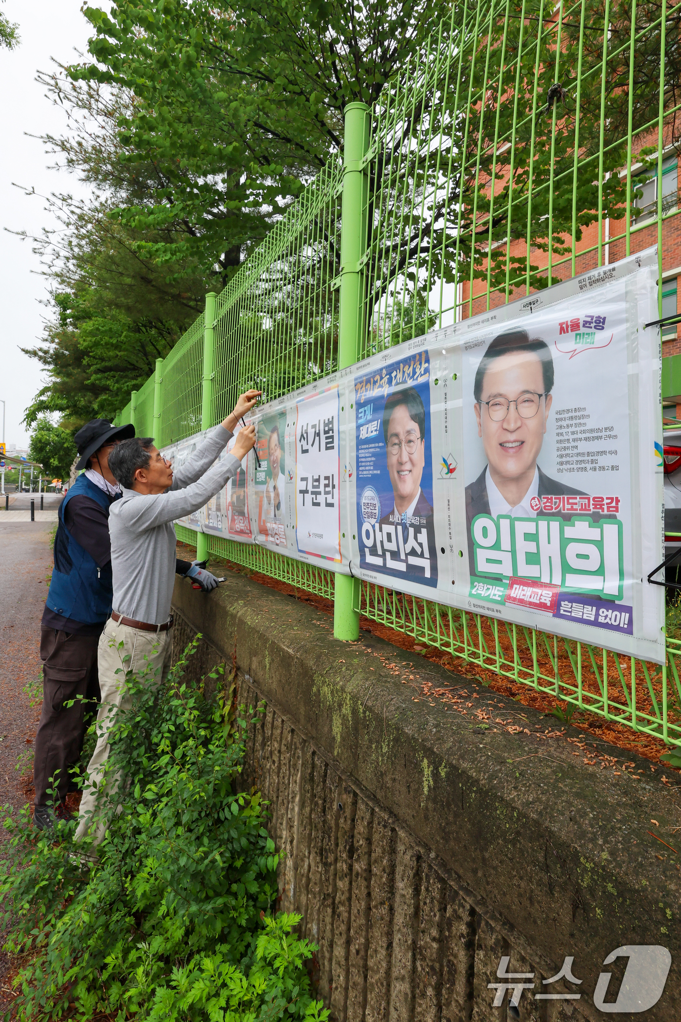 (수원=뉴스1) 안은나 기자 = 경기도선거관리위원회 관계자들이 제9회 전국동시지방선거 공식 선거운동이 시작된 21일 경기 수원시 팔달구 율현중학교 펜스에 경기도지사, 수원시장, 도 …