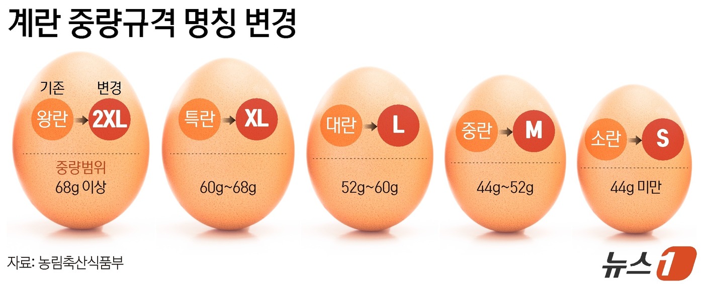 (서울=뉴스1) 양혜림 디자이너 = 농림축산식품부는 소비자들이 계란 크기를 보다 직관적으로 구분할 수 있도록 '축산법 시행규칙'을 개정해, 계란 중량 규격 명칭을 기존 '왕·특·대 …