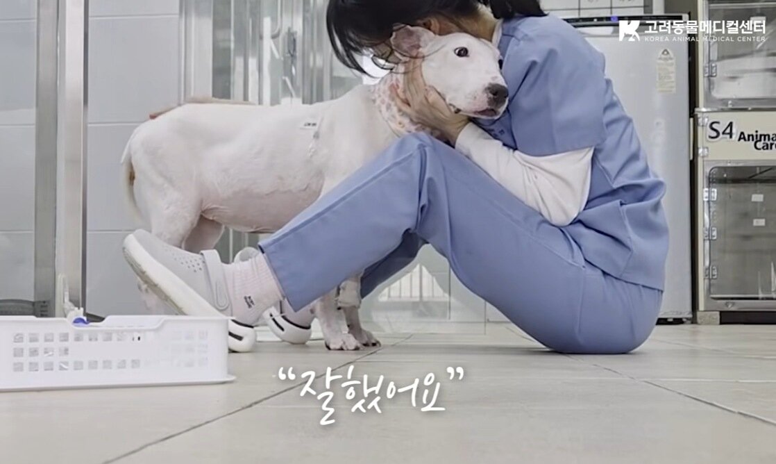 본문 이미지 - 꾸꾸는 상태가 호전되면서 스스로 밥을 먹기 시작했다(유튜브 갈무리). ⓒ 뉴스1