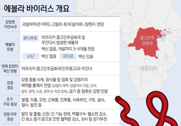[그래픽] 에볼라 바이러스 개요